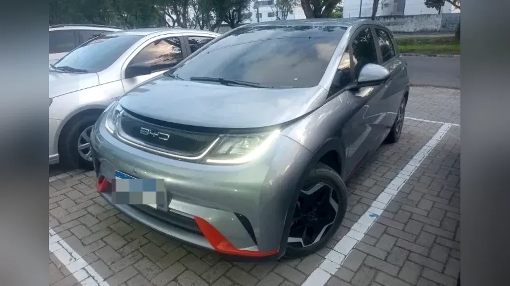 Foto de um byd dolphin