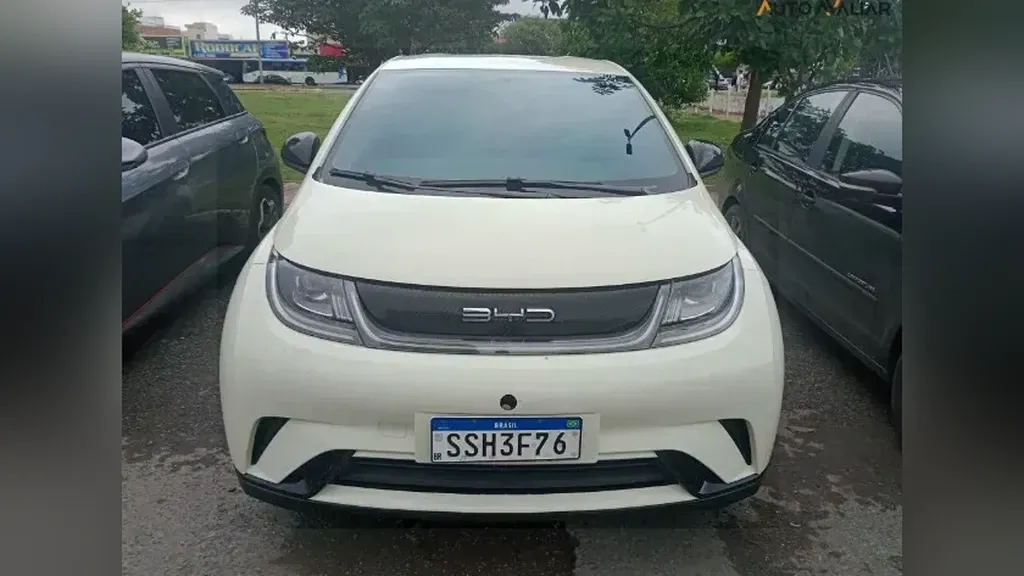 Foto de um byd dolphin