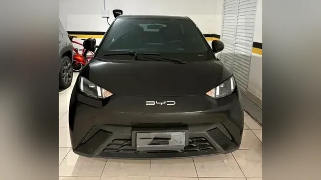 BYD Dolphin