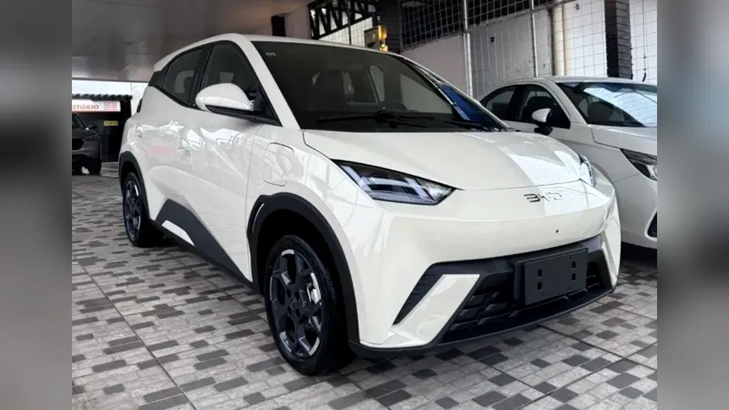 Foto de um byd dolphin mini
