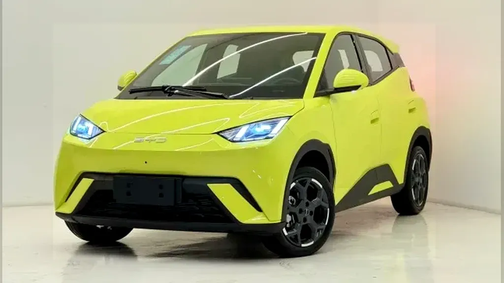 Foto de um byd dolphin mini