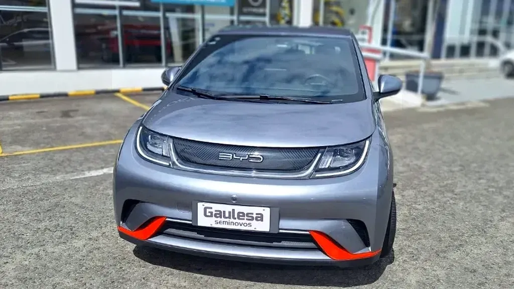 Foto de um byd dolphin