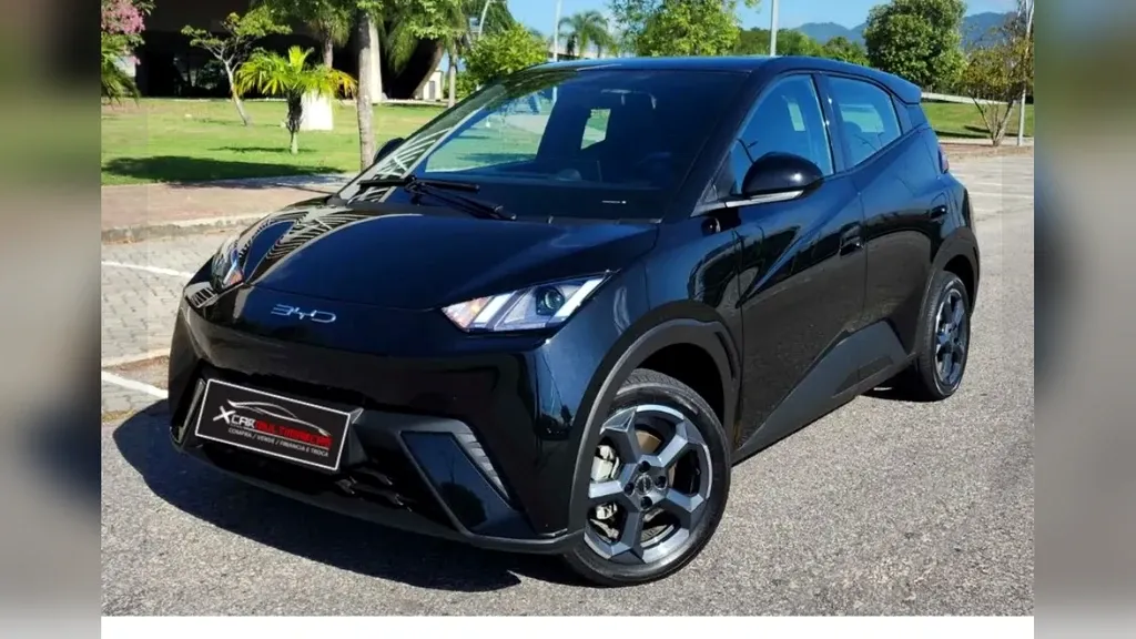 Foto de um byd dolphin mini