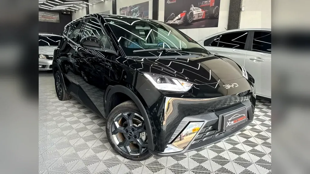 Foto de um byd dolphin mini