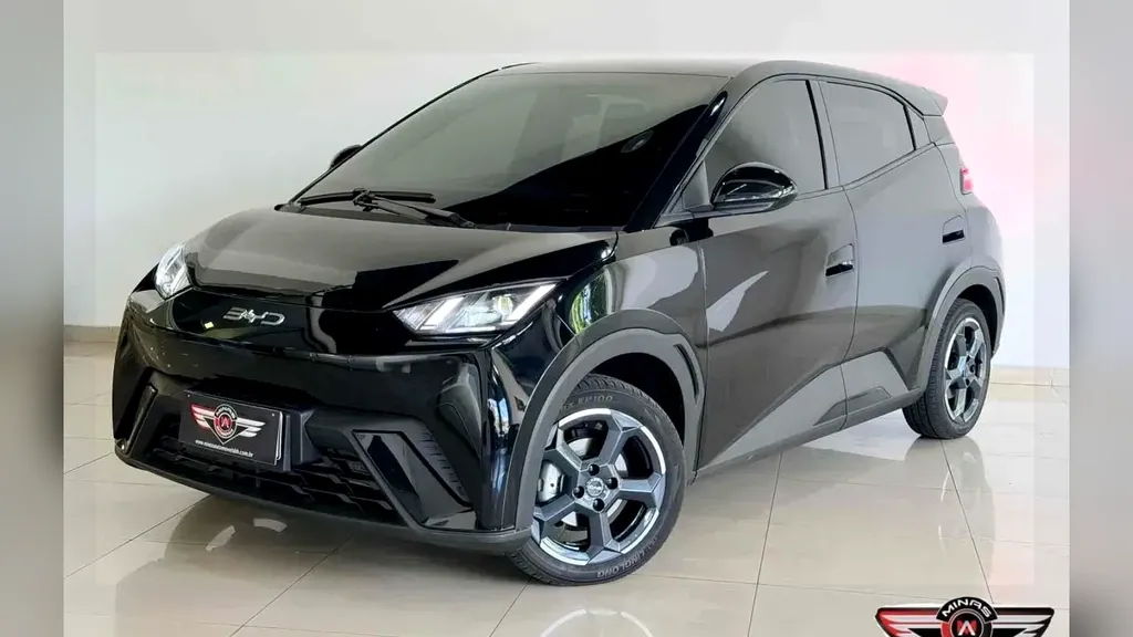 Foto de um byd dolphin mini