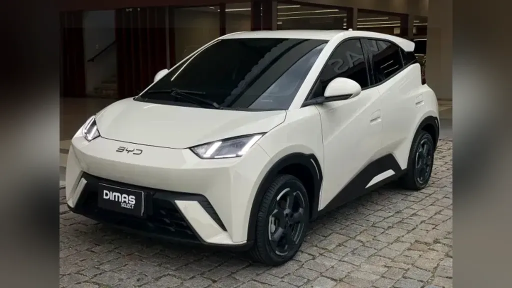 BYD Dolphin Mini