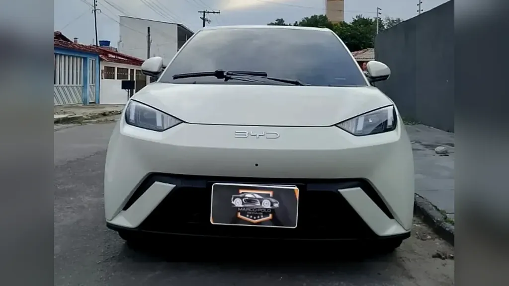 Foto de um byd dolphin mini