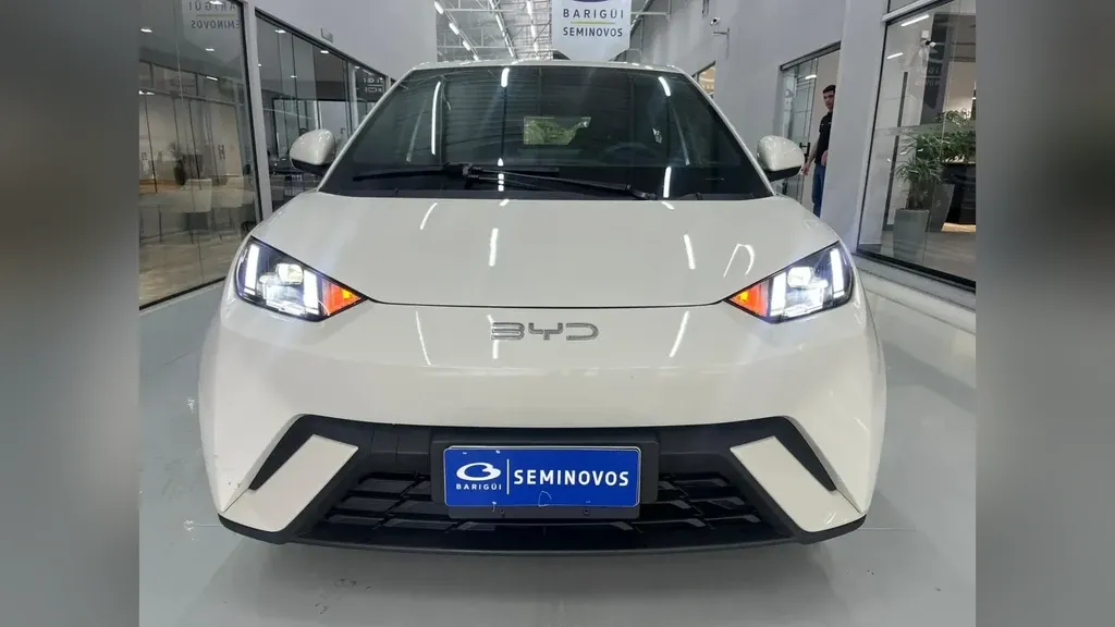 Foto de um byd dolphin mini