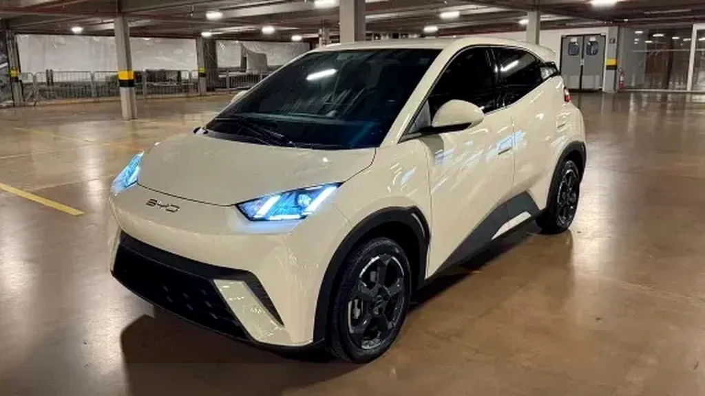 Foto de um byd dolphin mini