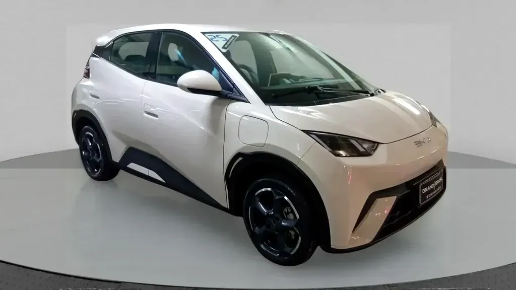 Foto de um byd dolphin