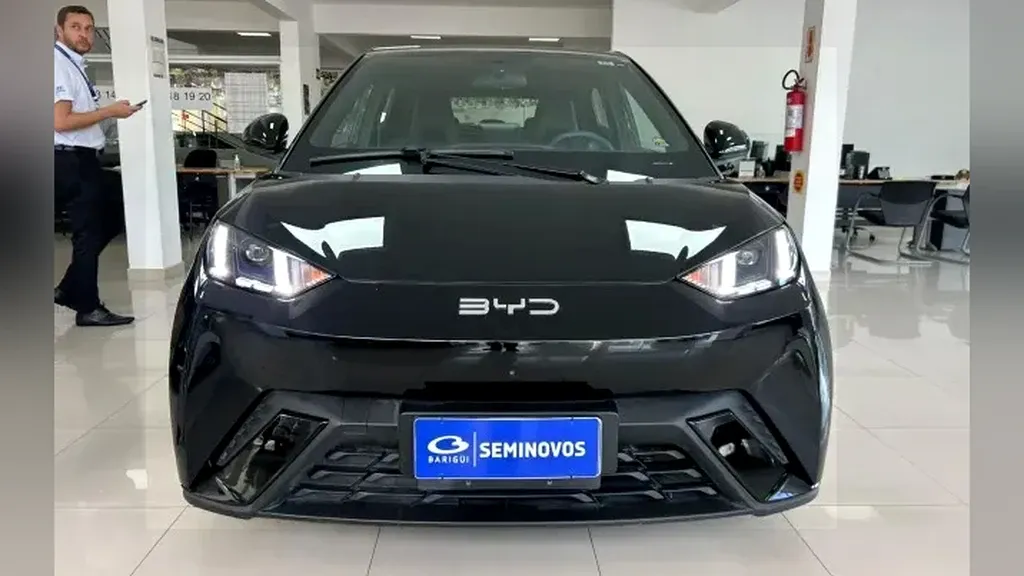 Foto de um byd dolphin mini