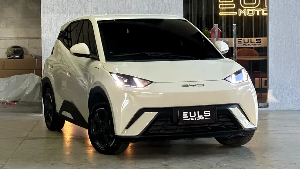 Foto de um byd dolphin mini