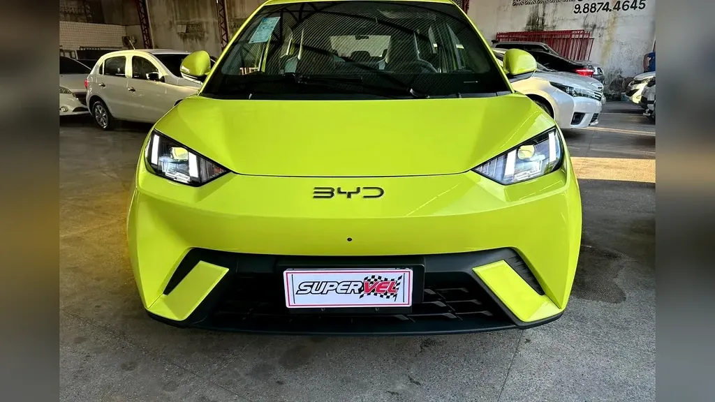 Foto de um byd dolphin mini