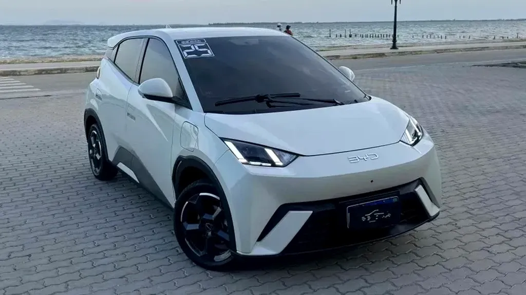 Foto de um byd dolphin mini