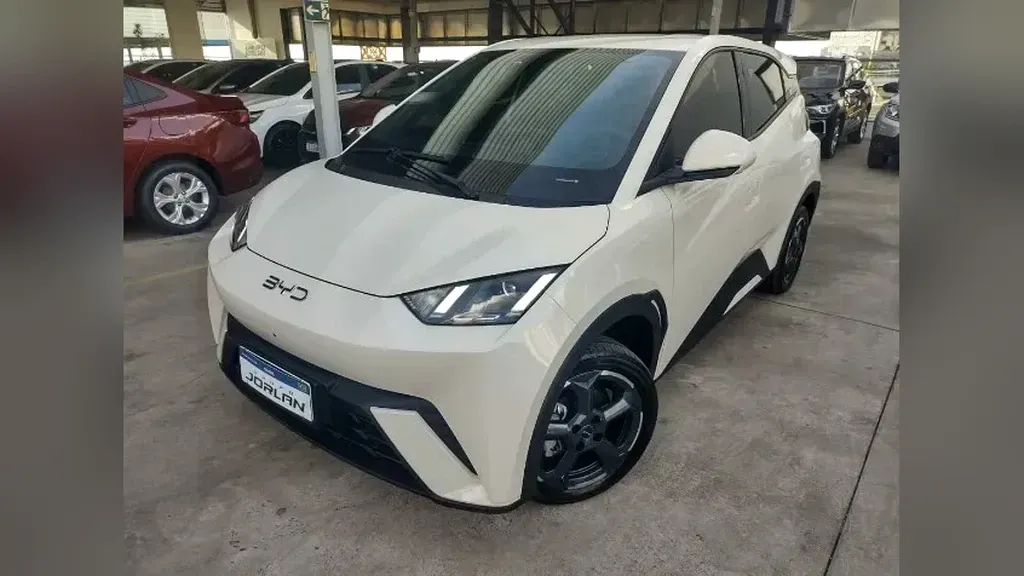 Foto de um byd dolphin mini