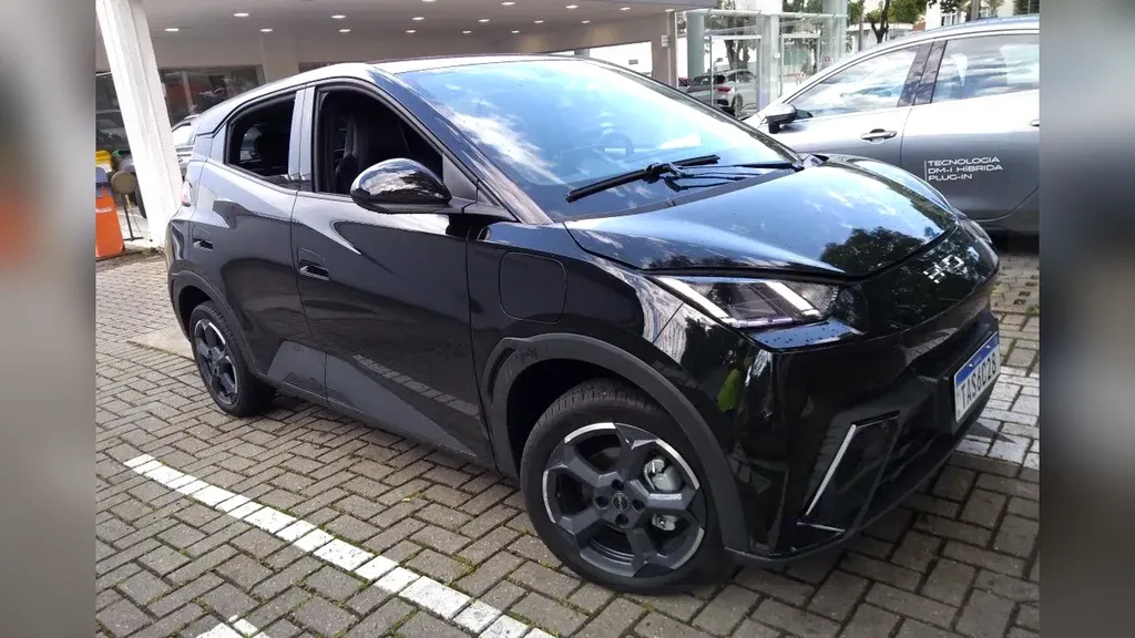 Foto de um byd dolphin mini