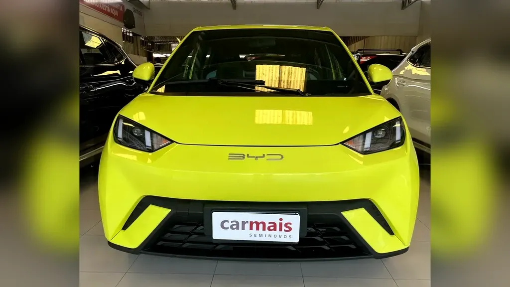 Foto de um byd dolphin mini