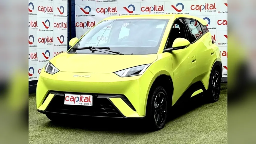 Foto de um byd dolphin mini