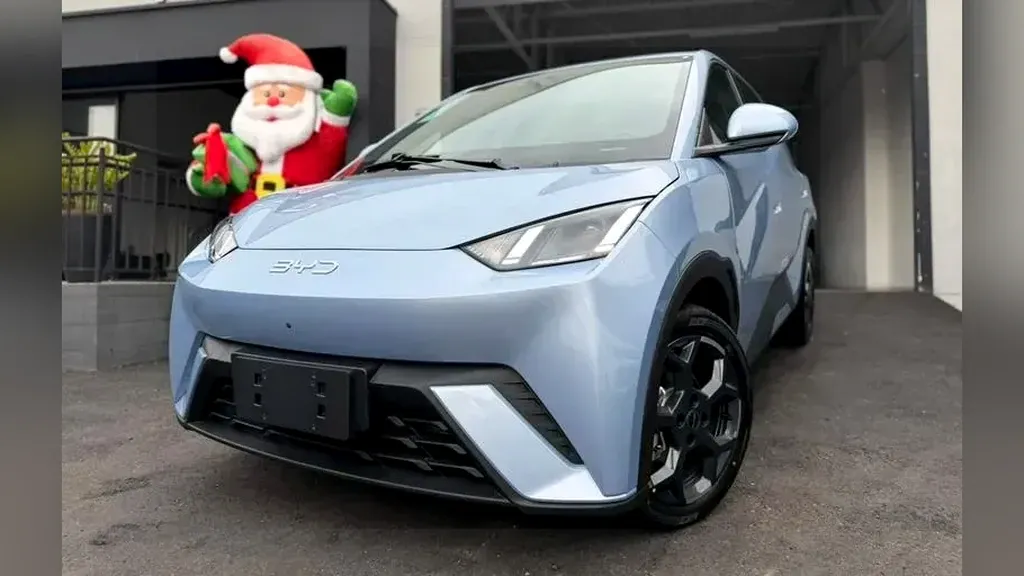 Foto de um byd dolphin mini