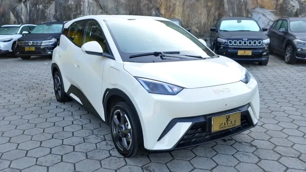 Foto de um byd dolphin mini