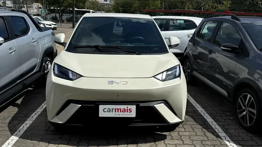 Foto de um byd dolphin mini