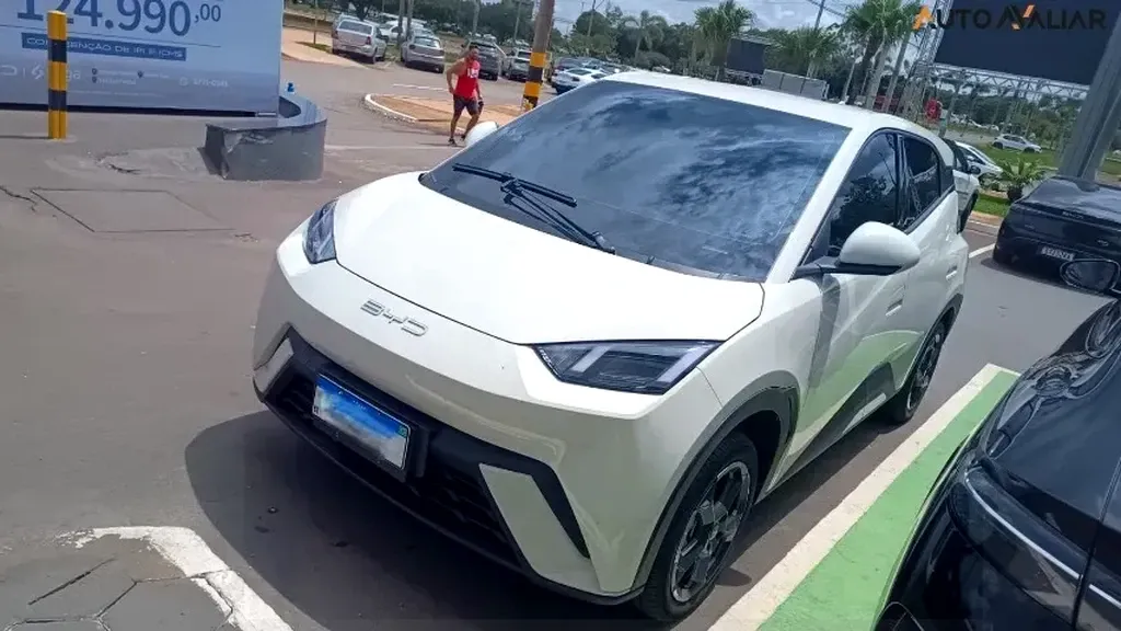 Foto de um byd dolphin mini