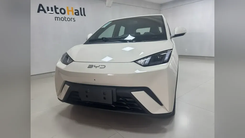 Foto de um byd dolphin mini