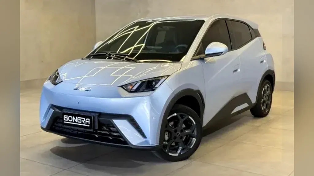 Foto de um byd dolphin mini