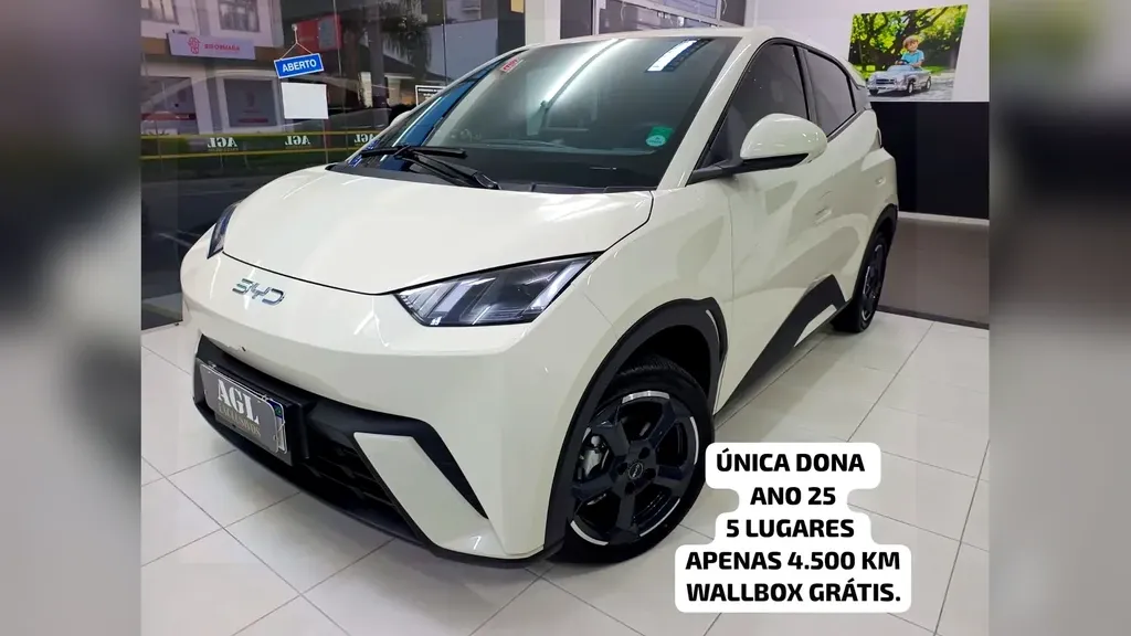 BYD Dolphin Mini - Imagem 1