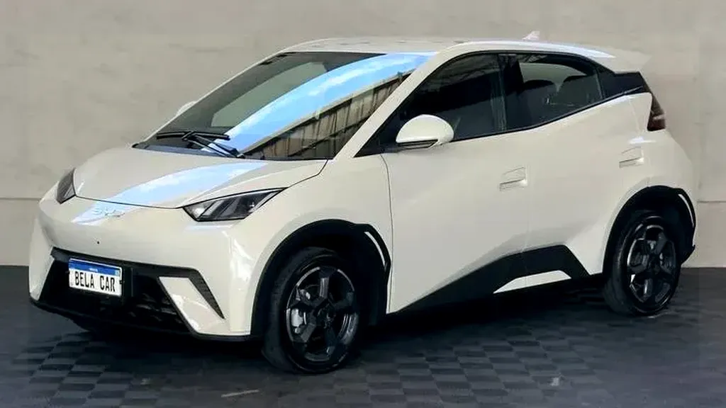 Foto de um byd dolphin mini