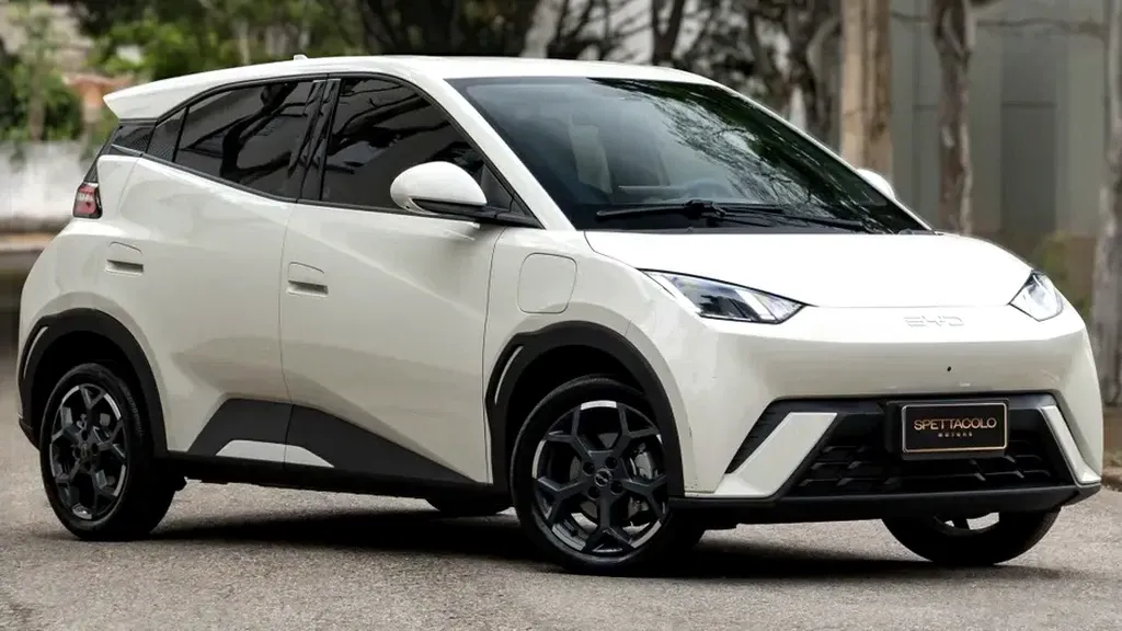 Foto de um byd dolphin mini