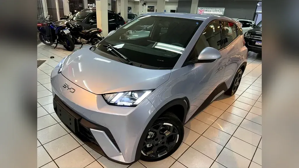 Foto de um byd dolphin mini