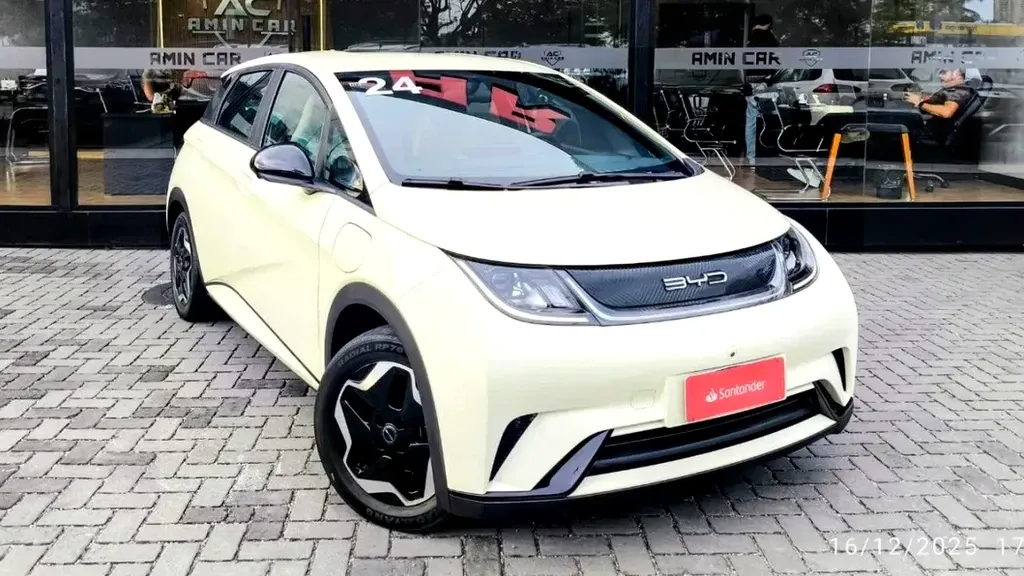 Foto de um byd dolphin