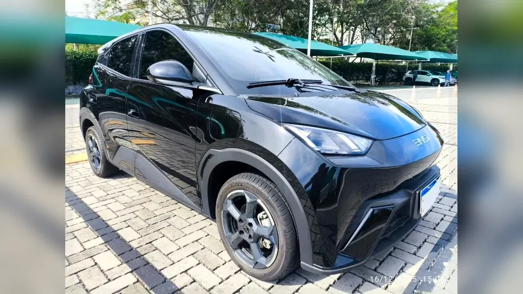 Foto de um byd dolphin