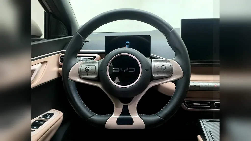 BYD Dolphin Mini - Imagem 12