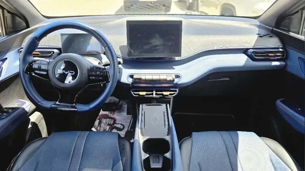 BYD Dolphin Mini - Imagem 18