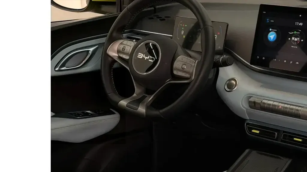 BYD Dolphin Mini - Imagem 10