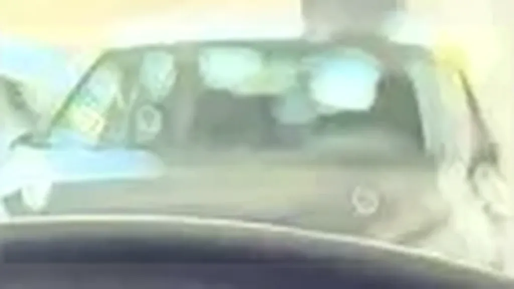 BYD Dolphin Mini - Imagem 10