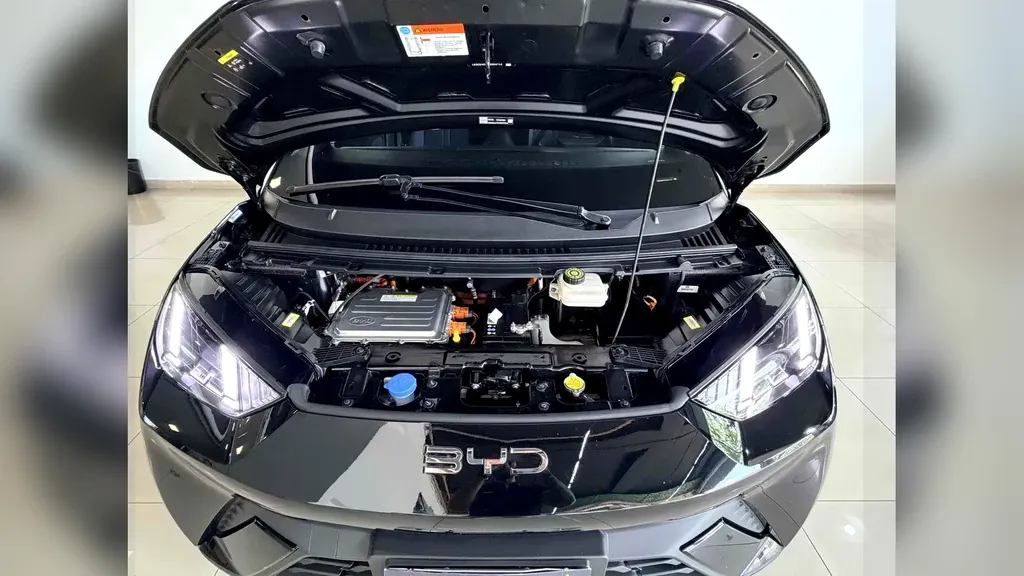 BYD Dolphin Mini - Imagem 17