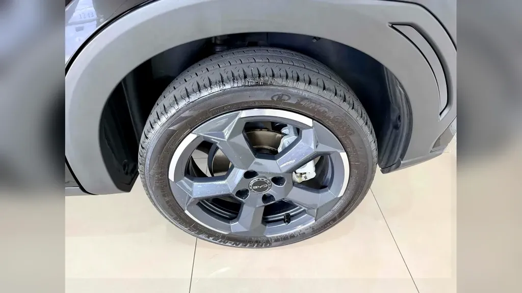 BYD Dolphin Mini - Imagem 18