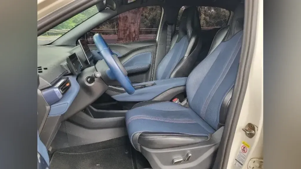 BYD Dolphin Mini - Imagem 10