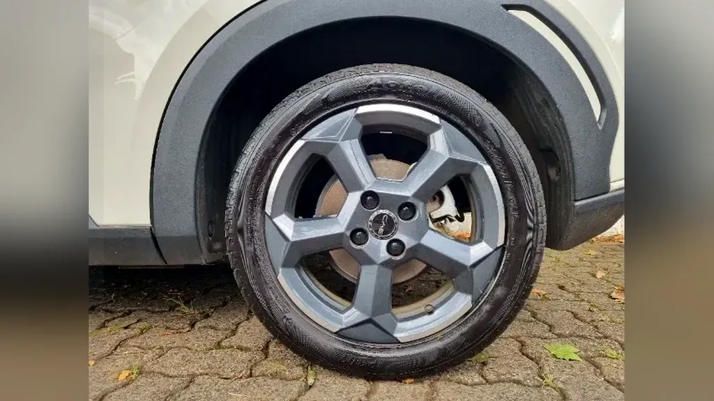 BYD Dolphin Mini - Imagem 18