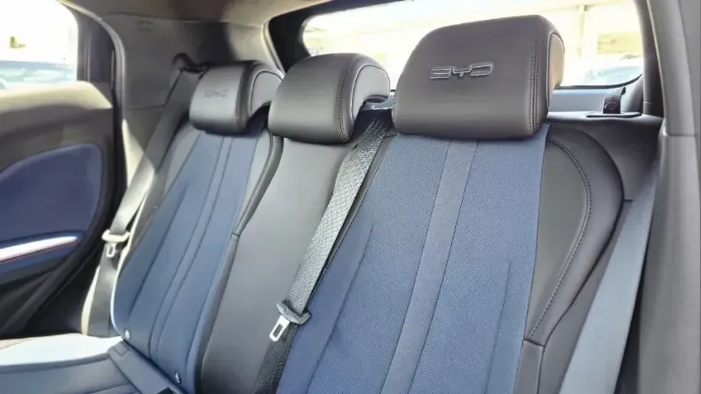 BYD Dolphin Mini - Imagem 14