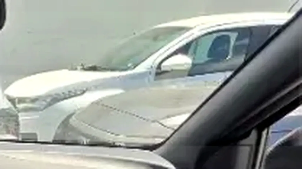 BYD Dolphin Mini - Imagem 15