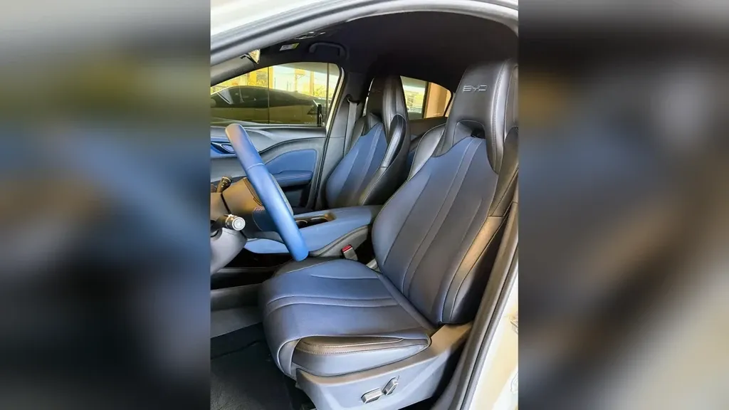 BYD Dolphin Mini - Imagem 11