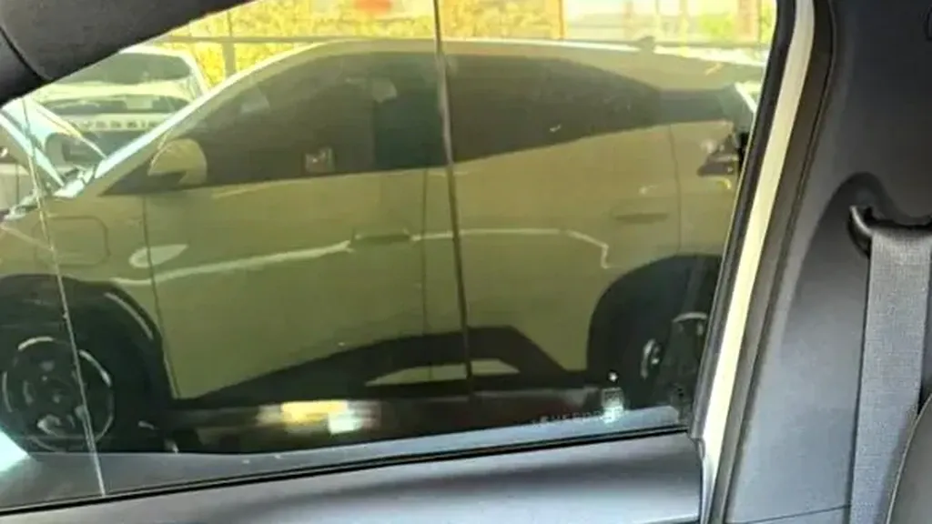 BYD Dolphin Mini - Imagem 12