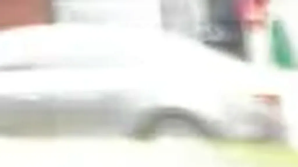 BYD Dolphin Mini - Imagem 14