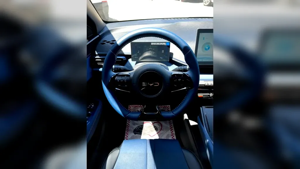 BYD Dolphin Mini - Imagem 16