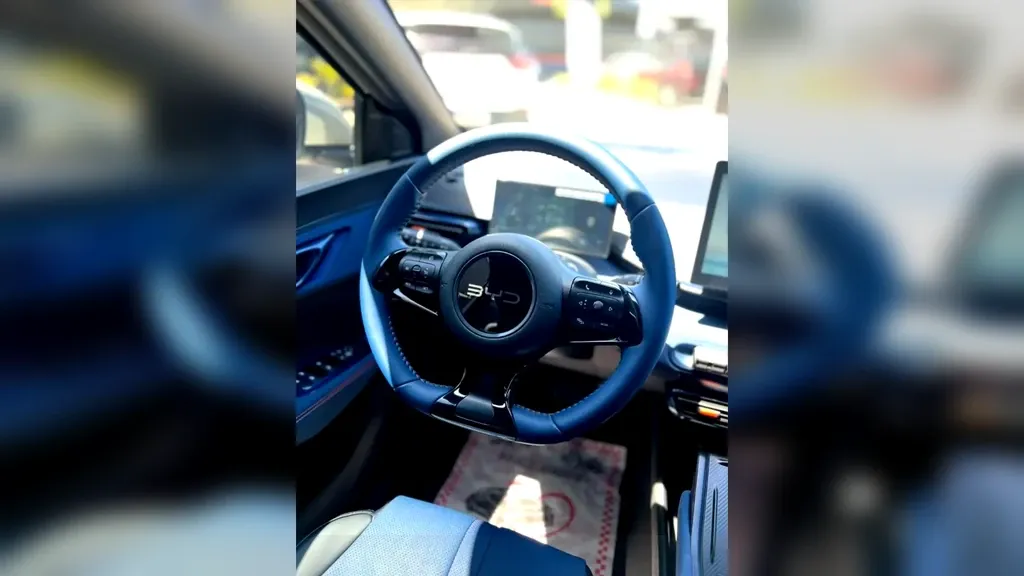 BYD Dolphin Mini - Imagem 18