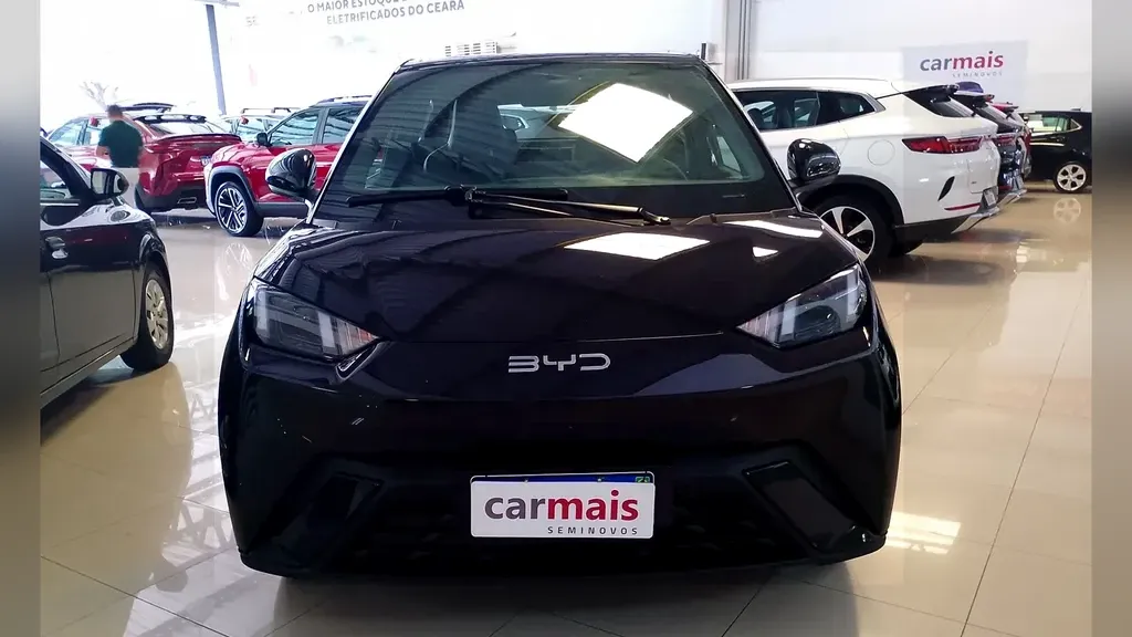 Foto de um byd dolphin mini